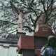 Still Love You die alone Single