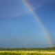 Prarie Sky Single