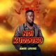 Ndi Kuddobo Single