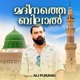 Madeenathe Bilal Single