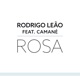 Rosa feat Camané Single
