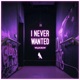 I Never Wanted Single