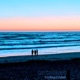 Bodega Tides Single