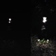 Night Glow Single