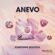 Something Beautiful feat Ameria Single