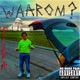 Waarom Single