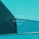 Wasted Youth Single