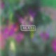 Arcadia Single