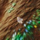 flowers Single