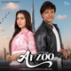 Arzoo Single