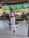 VIDEO CALL Extended Version Single