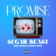 Promise Single feat Eddy Baba Kweku AFro Single