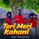 Teri Meri Kahani Single