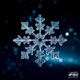 The First Snowfall feat Tade Dust Versions Single