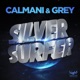 Silver Surfer Remixes