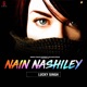 Nain Nashiley