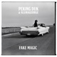 Fake Magic Single