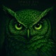 Green Owl