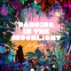 Dancing In The Moonlight Single