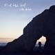 Find the Lost Single