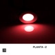 Planta 2 Single