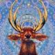 Buckin You Down feat Kihndyn Peters Single