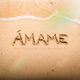 Ámame Single