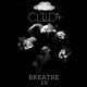 Breathe In Single