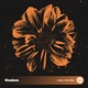 Shadows Single