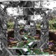 Mind Eternity Single