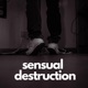 Sensual Destruction