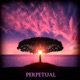 Perpetual Single