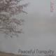 Peaceful Tranquility EP