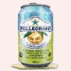 Pellegrino Single