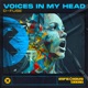 Voices in My Head Single