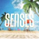 Senses feat KVN Single