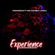 Experience feat King yuzzybeat Pizzle Single