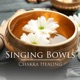 Singing Bowls Chakra Healing