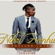 Ndiri Zvinhu Single