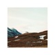 In Cities in Tongues Study Mix Single