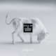 Bull In A China Shop Single