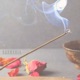 Harmonía Single