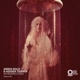 Introspection Single