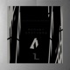 Abstraccion Geometrica Single