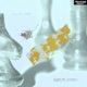 Warrior Kingdom Single