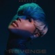 Revenge Single