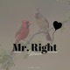 Mr Right Single