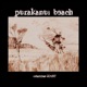Purakanui Beach feat Rich Stephenson Angie Fullman Sarah Buckley Kate Findlay Sebastian Durkin EP