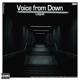Voice from Down Single