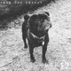 Bbr012 Single